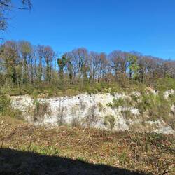 Hier brütet der Uhu