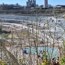 Fossiliensucher in Aktion