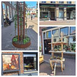 Impressionen - Fassaden, Fenster, Holz ...