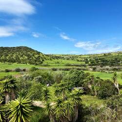 Der Weg führte heute zum zweiten mal kurz ins schöne Landesinnere.