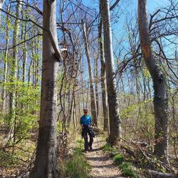 Tolle unbeschilderte Pfade.