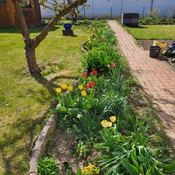 Opas Garten ist perfekt!