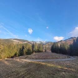 langsam nähern wir uns der baumfreien Zone