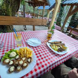 gefüllte Champion/Bachforelle