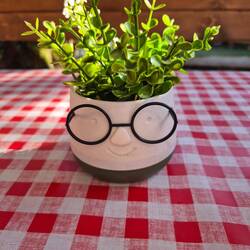 Daniel als Pflanze😁