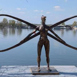 The infinity woman