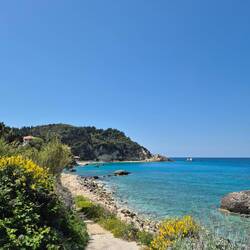 D'Bucht womer hei Zmittag gässä😁