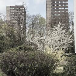 Berliner Strasse