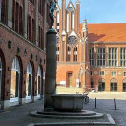 Bibliothek und Rathaus