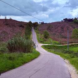 Might not look like it but this hill went on forever