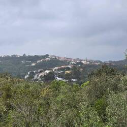 The view from nowhere near the top