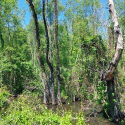 unterwegs in Louisiana