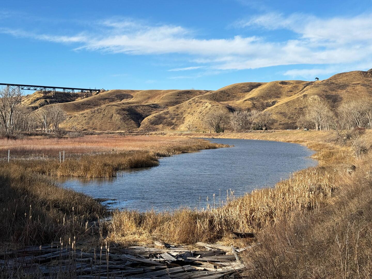 Elithabeth Hall Wetlands in Lethbridge