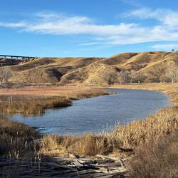 Elithabeth Hall Wetlands in Lethbridge