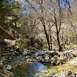 Die ersten 100 m des Flusses