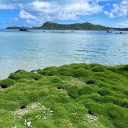 Seit Tagen finden Bootsrennen statt.