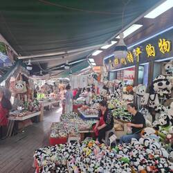 Überall in der Stadt Panda-Plunder