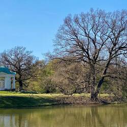 Tempel in der Karlsaue