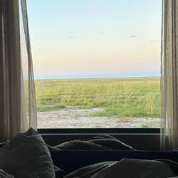 Guten Morgen Etosha
