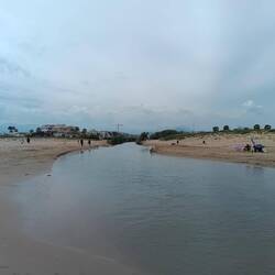 Riu del Vedat