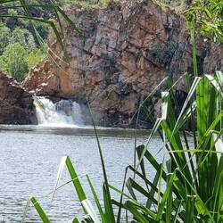 Edith Falls