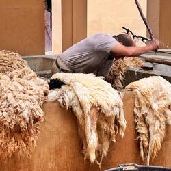 Visite de la Tannerie