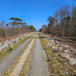 Radwege