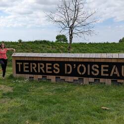 ... et du flamand rose par Céline