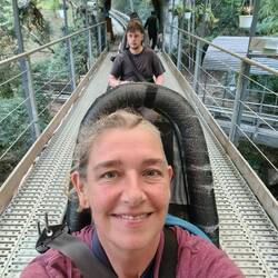 Alpine Coaster - auf Schienen durch den Wald