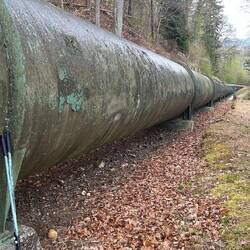 Da rauscht schon lang nichts mehr durch Abstieg nach Orbe