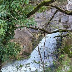 Die Orbe zeigt ihre Kraft