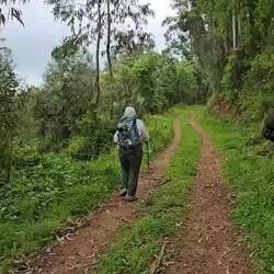 Arlene captured my sandals and Camino shell swinging in perfect harmony