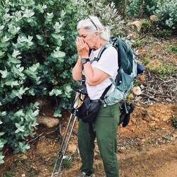 Smelling the Eucalyptus