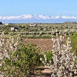 Schon etwas näher am Schneegebirge