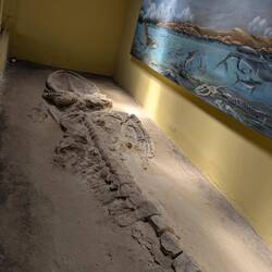 Fantastic museum along the way with fossils, among them 3 big whales found on the spot
