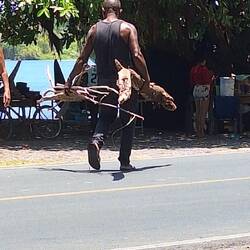 Feuerholz für die Grossfamilie gegenüber