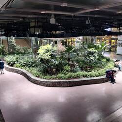 Solar garden in a metro station