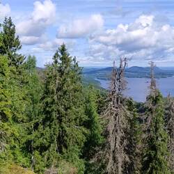 Mäkrä at around 300 meters. This was a much harder climb. Straight up!