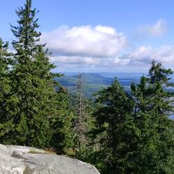 National landscape of Ukko-Koli at 347 meters reached.