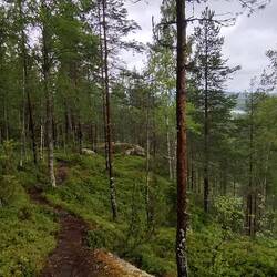 Kolinvaara around 200 meters. It's not that these are extremely high peaks but there's many of these