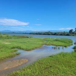 Hier lauerte das Reptil auf Isabell, weil sie Birkenstocks besser findet als Crocs