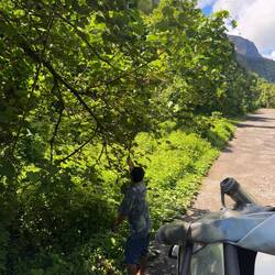 Unser Guide schneidet immer wieder Sträucher mit der Machete