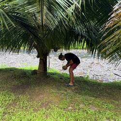 Chris holt eine Kokosnuss