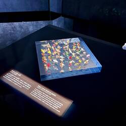 Små papir-traner foldet af Sadako af det papir, hun fik sin medicin i