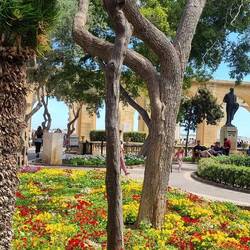 Les jardins d'Upper Barakka