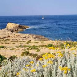 Bohème au large navigue vers la Sicile pour rejoindre Marsala. 2 jours et 1 nuit de navigation.