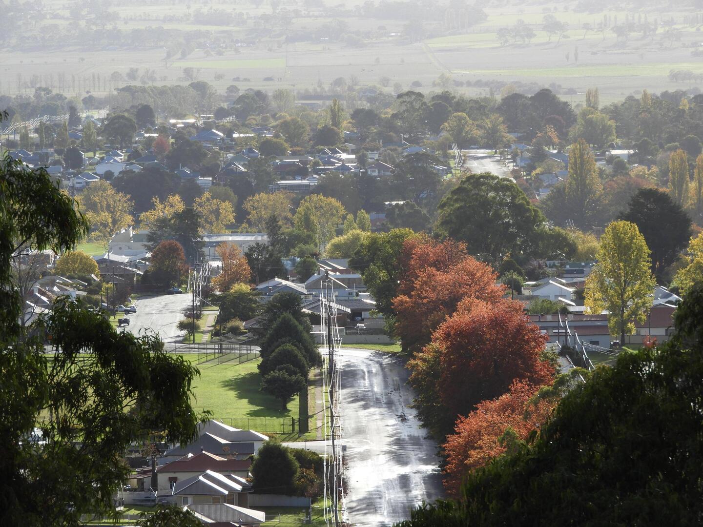 Autumn colours over Glen Innes