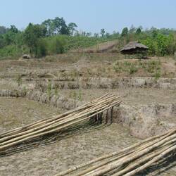 Felder der Karen in der Trockenzeit