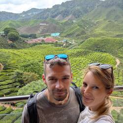 Bharat Tea Plantations