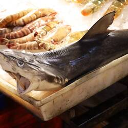 Auch gewöhnungsbedürftig ...